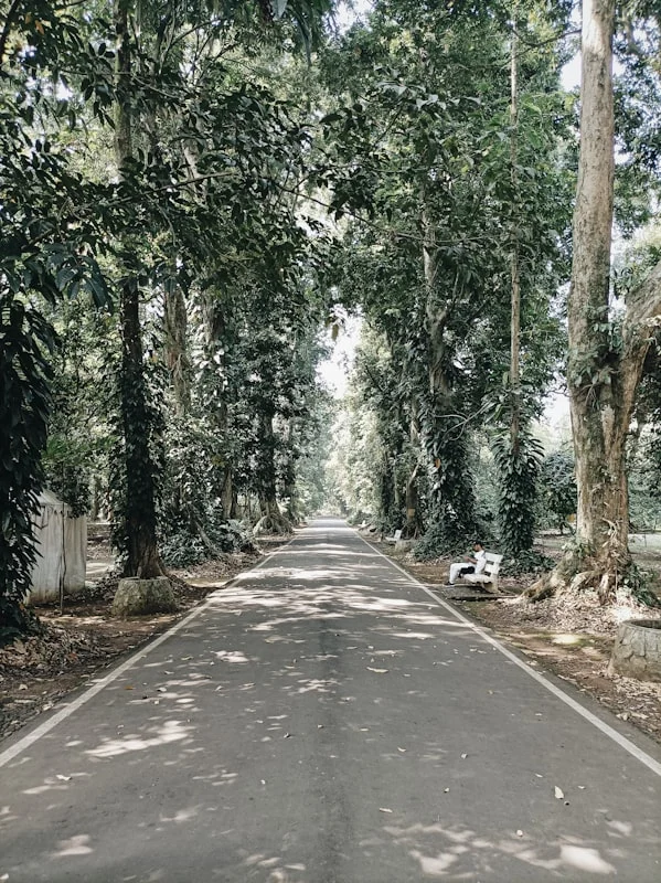 Pengenalan Pengaspalan Jalan Lingkungan